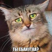 даже ник повторить не смогла..