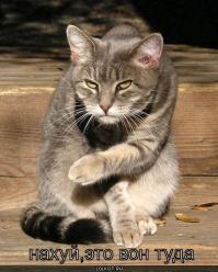 неправильная - слитно
непросто - слитно
ты, вообще, что еще за доллбоеб?