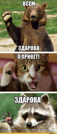 Тигрелка, собарел, чайкула и еще 32 животных из параллельной вселенной