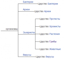 грибы - не организм????