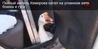 со мной вообще гусь в одной группе учился, и ничего..