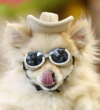 шеф после отпуска