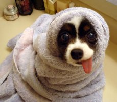 на больничном