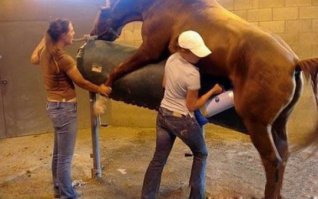 Вакансии мечты, на которые берут абсолютно всех