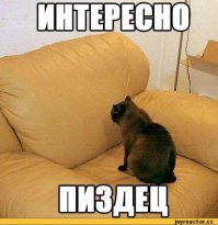 Потрясающие комиксы о том, как трудно быть девочкой 