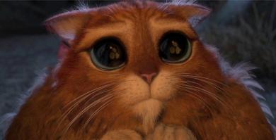 Моя аэрография