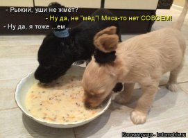 Очаровательные пучки