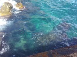 красиво и дёшево