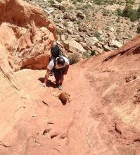 Куда делся черный кот?