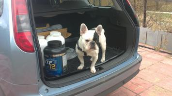 Когда я хотел завести бульдога, жена сказала "Мне второго бульдога не надо. Мне ты его полностью заменяешь: храпишь, грязь тащишь и все прочее".
Поэтому завела дочь. Теперь растет внучок.