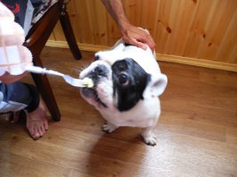 Подумаешь пицца.
Некоторые за оливки Родину продадут.