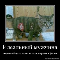 10 интересных фактов о кошачьих