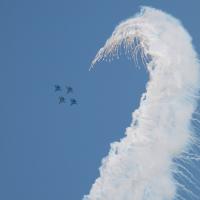 С праздником! Разрешите поделиться несколькими снимками, может кому понравится...:)