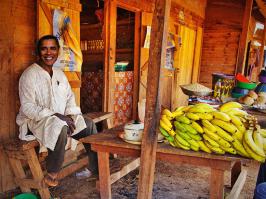 "...только каждой ночью сни-и-ится мне деревня!.."