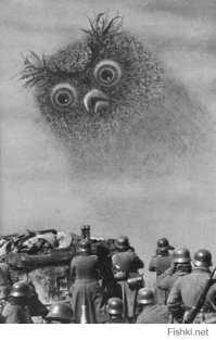 25 вирусных фото, которые оказались фейками