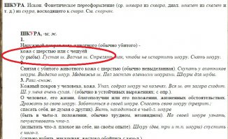 Во тьме Марианской впадины обнаружили новый вид рыб