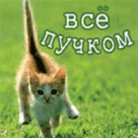 Всё пучком