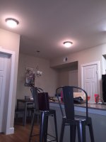 Найди кота: