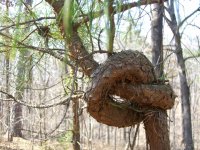 Вот, что значит фак зе систем. А некоторые жалуются, что их уйово живется.