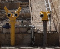 15 очень забавных выражений «лиц», которые сделают ваш день