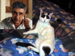 28 обаятельных животных с уникальным природным окрасом