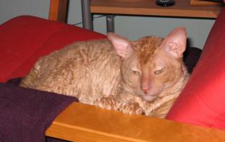 моему скоро 14 )) это давнишняя фотка -