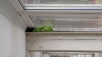 на работе на лестничном пролете