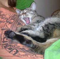 моя бу меня любит!))