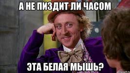 Проститутки в номере гостиницы