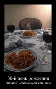 Самые богатые собаки в Instagram