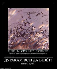 Повезло дурачку