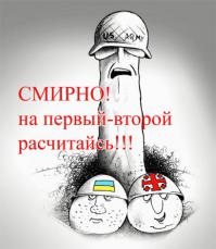 Фишкина солянка за 24.07.2014