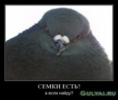 Из этой серии))