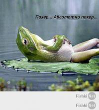 что с чем связано? иди читай учебник, а не гантели тягай, великий рекламщик )))