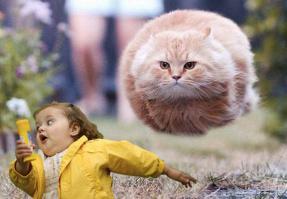 - А вы можете исчезать и появляться не так внезапно? А то у меня голова идет кругом.
 - Хорошо, - сказал Кот и исчез - на этот раз очень медленно. Первым исчез кончик его хвоста, а последней - улыбка; она долго парила в воздухе, когда все остальное уже пропало.
 - Д-да! - подумала Алиса. - Видала я котов без улыбки, но улыбки без кота! Такого я в жизни еще не встречала.