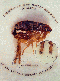 10 самых микроскопических вещей в мире