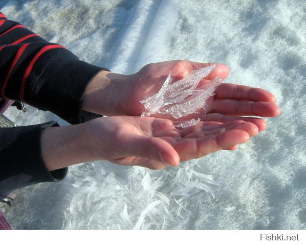 Новосибирск, Бердский залив. 2012 год