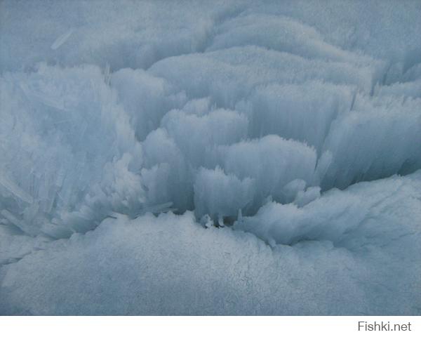 Новосибирск, Бердский залив. 2012 год