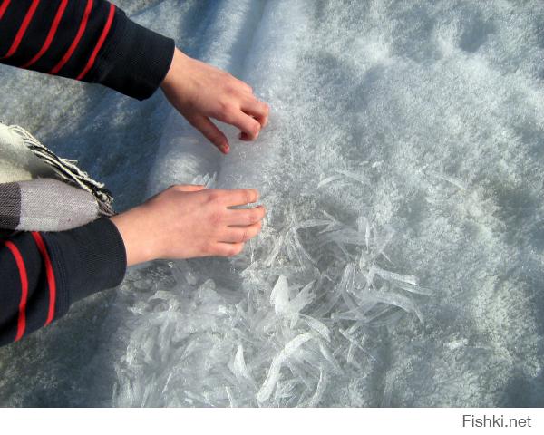 Новосибирск, Бердский залив. 2012 год