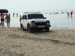 однажды у нас на пляже такую картину видел
