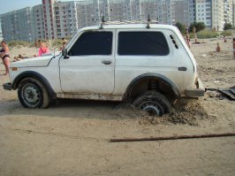 однажды у нас на пляже такую картину видел