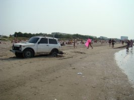 однажды у нас на пляже такую картину видел