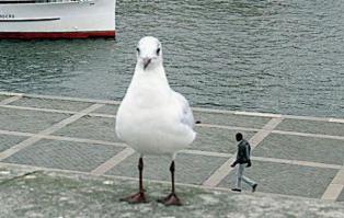 вот это действительно  фотограф 80 л.