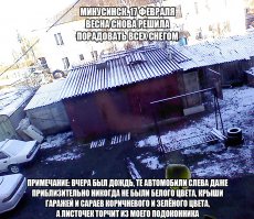  Смешные комментарии с Фишек