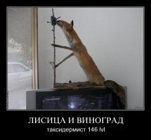 Сдается мне что утка на последней фотке, все таки того, не совсем живая...