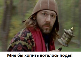 Как растут грибы