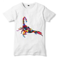 Интересные факты о скорпионах