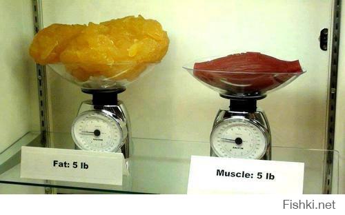 есть жирные, но есть и мясистые - вот в чем разница
