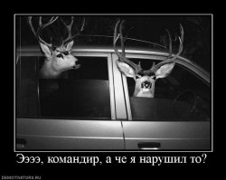 Все неправы, кроме автора