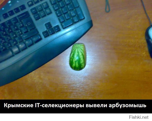 Небывалый урожай арбуза в Крыму.